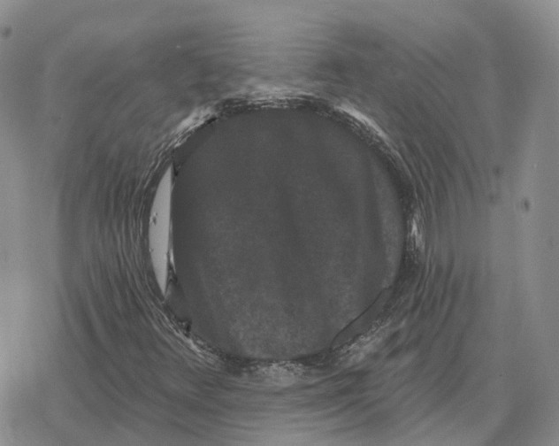 X0000078291348200611251433