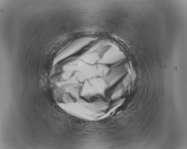 X0000078291349200611251433