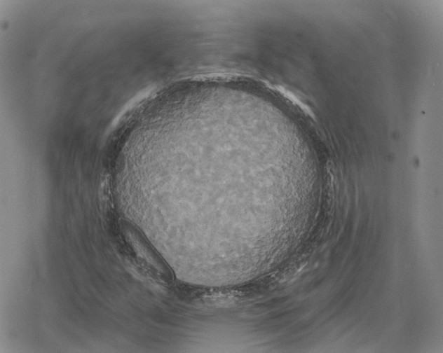 X0000078291351200611251433