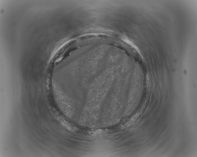 X0000078291352200611251433