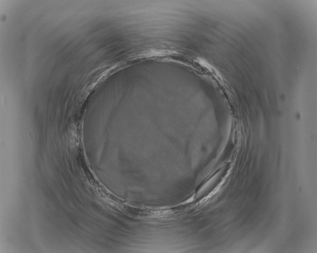 X0000078291353200611251433