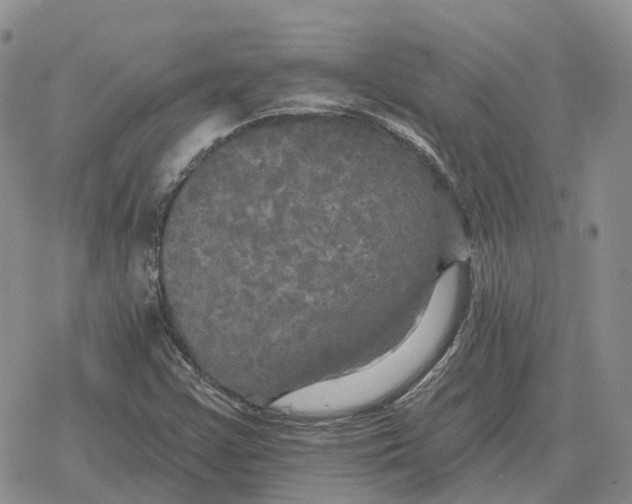 X0000078291355200611251433