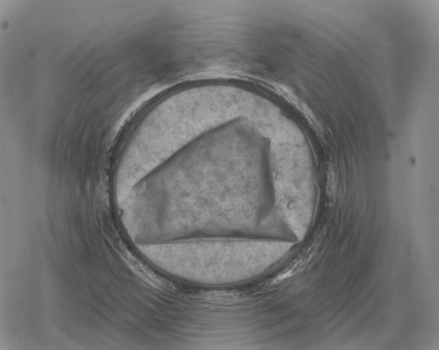 X0000078291356200611251433