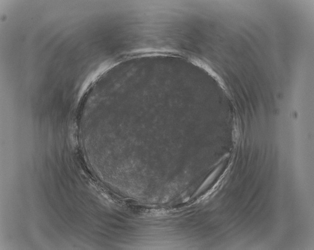 X0000078291357200611251433