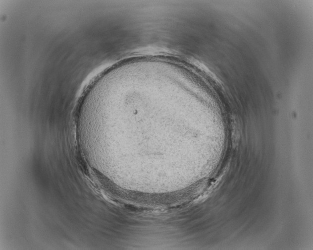 X0000078291358200611251433