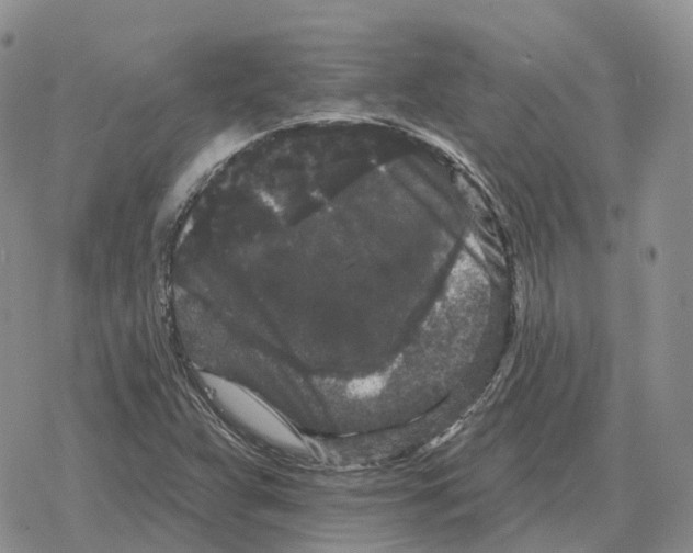 X0000078291359200611251433