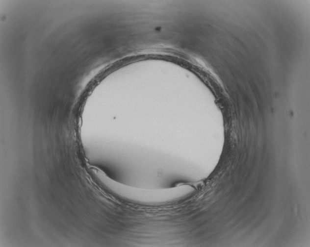 X0000078291360200611251433