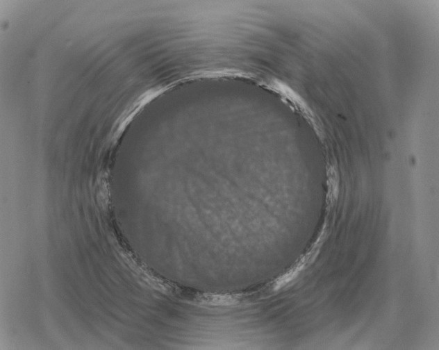 X0000078291361200611251433