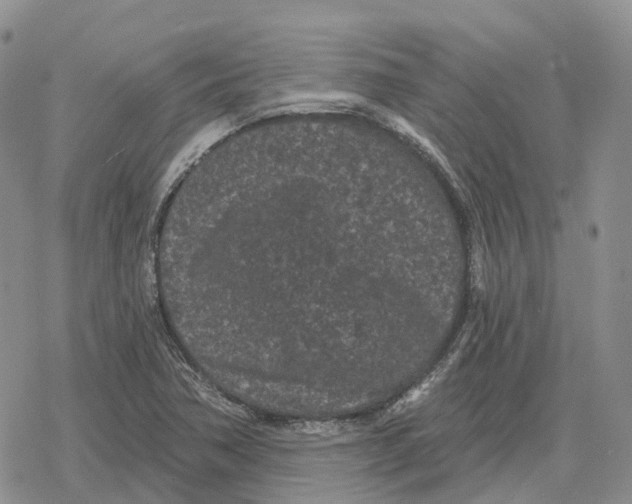 X0000078291362200611251433