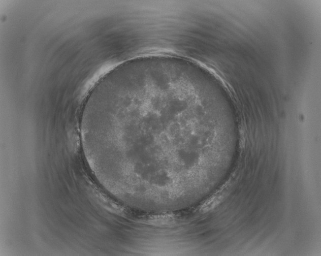 X0000078291363200611251432