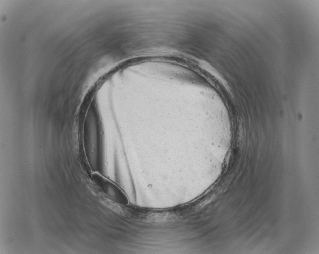 X0000078291364200611251432