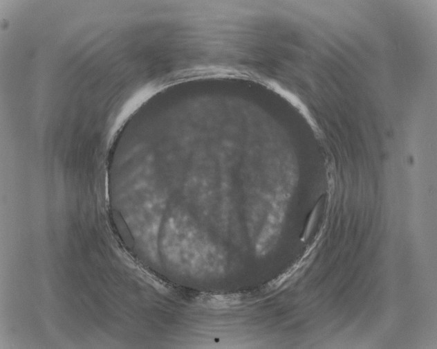 X0000078291365200611251432