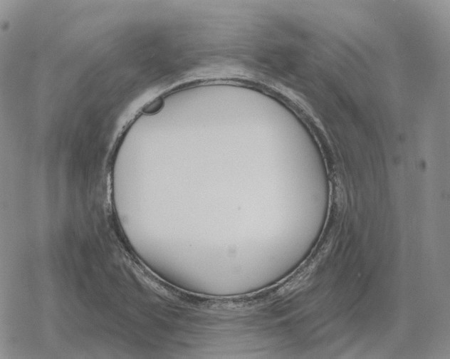 X0000078291366200611251432