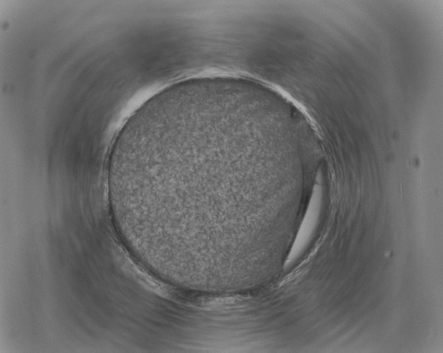 X0000078291367200611251432