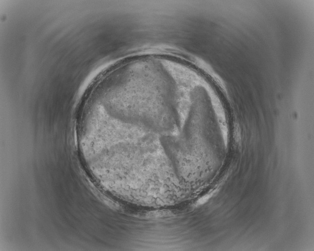 X0000078291368200611251432