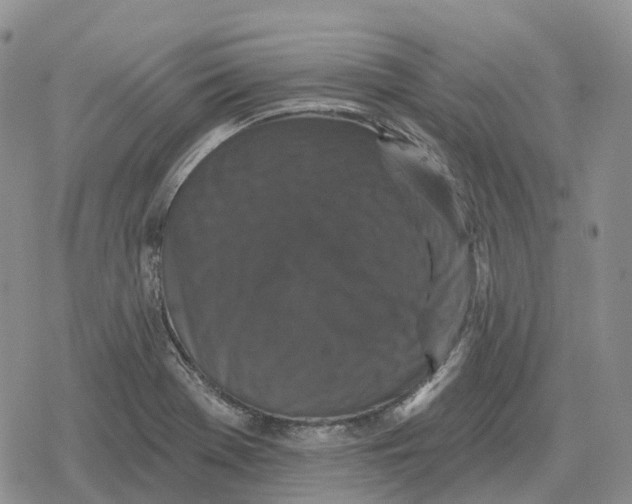 X0000078291369200611251432