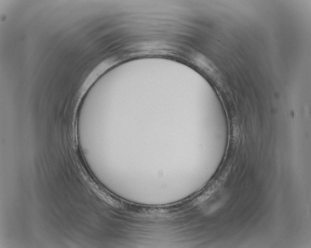 X0000078291370200611251432