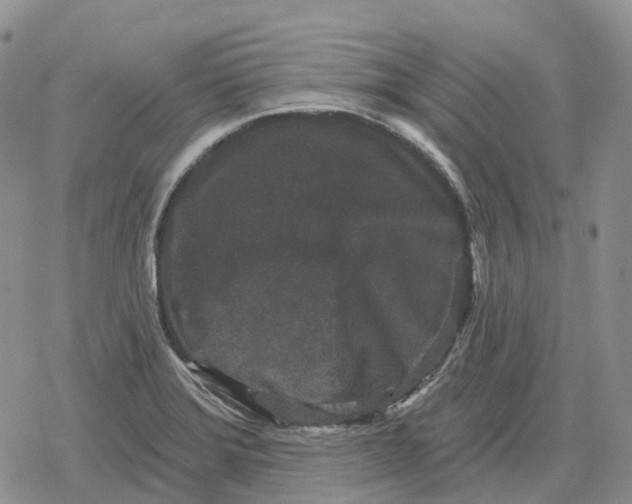 X0000078291372200611251432