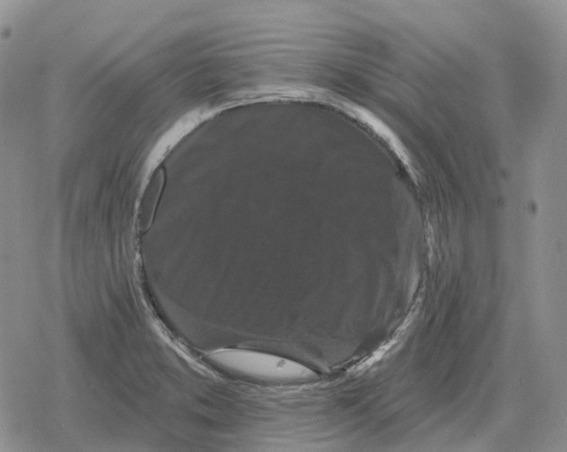 X0000078291373200611251432