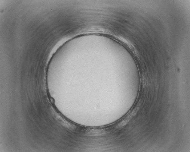 X0000078291374200611251432