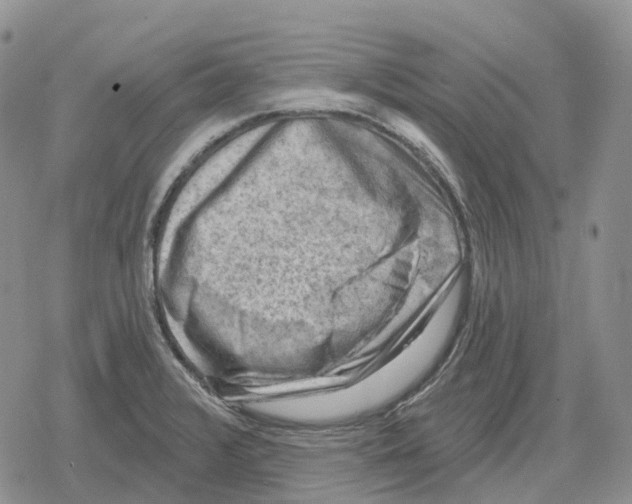 X0000078291376200611251432