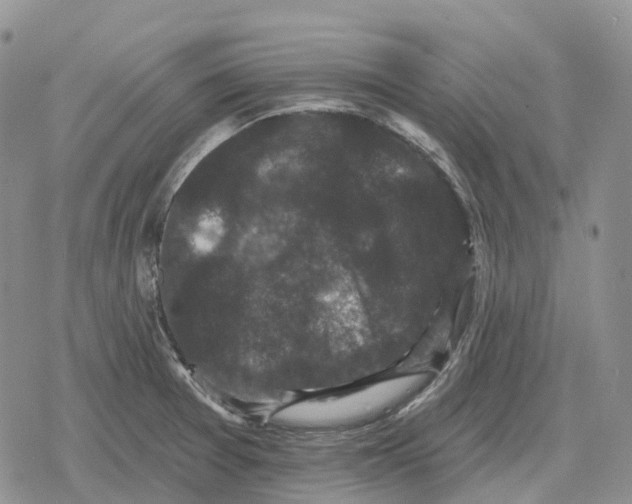 X0000078291377200611251432