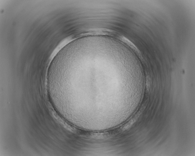 X0000078291378200611251432