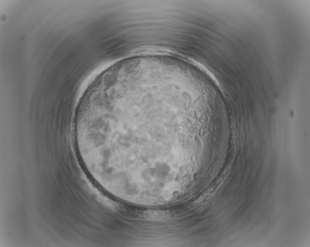 X0000078291379200611251432