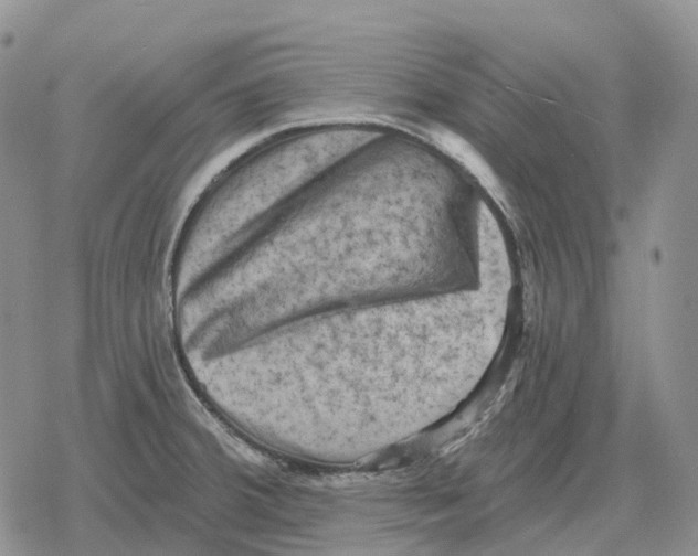 X0000078291380200611251432