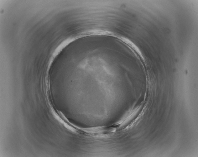 X0000078291381200611251432