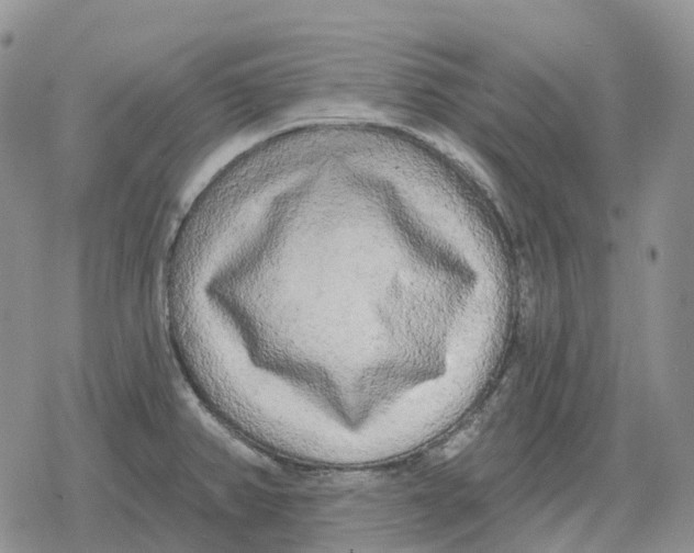 X0000078291382200611251432