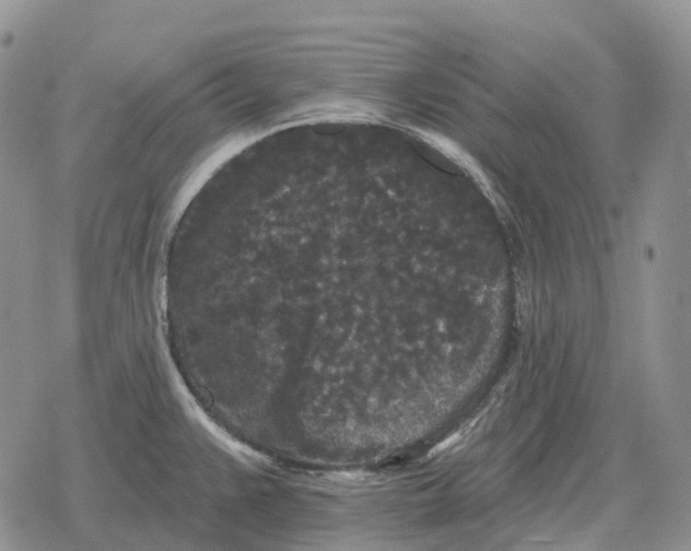 X0000078291383200611251432