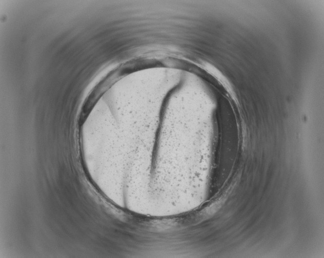 X0000078291384200611251432