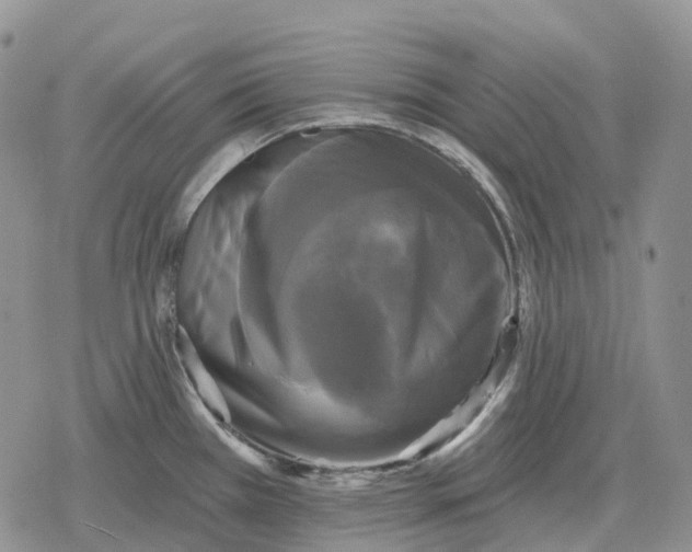 X0000078291385200611251432