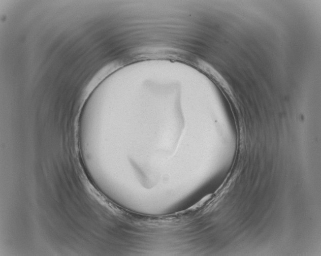 X0000078291386200611251432