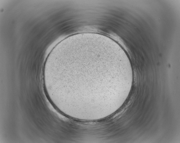 X0000078291387200611251432