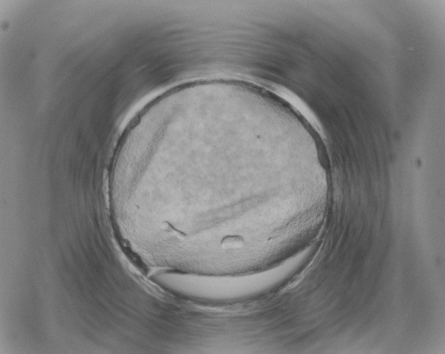 X0000078291388200611251432