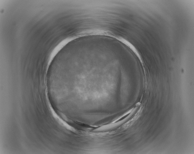 X0000078291389200611251432