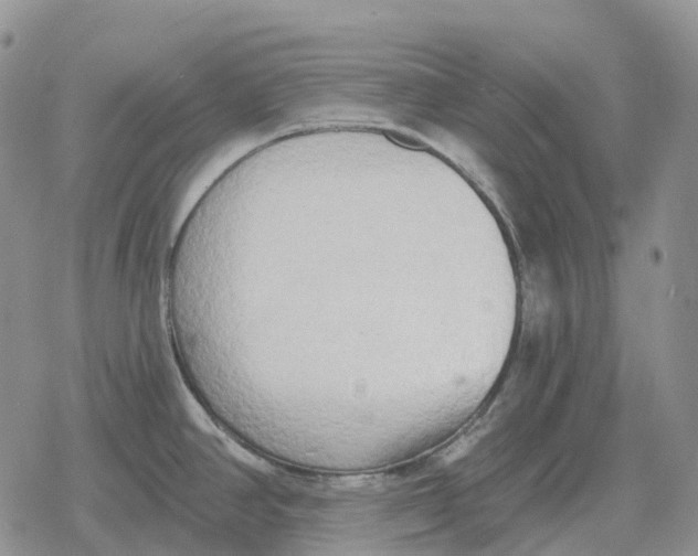 X0000078291390200611251432