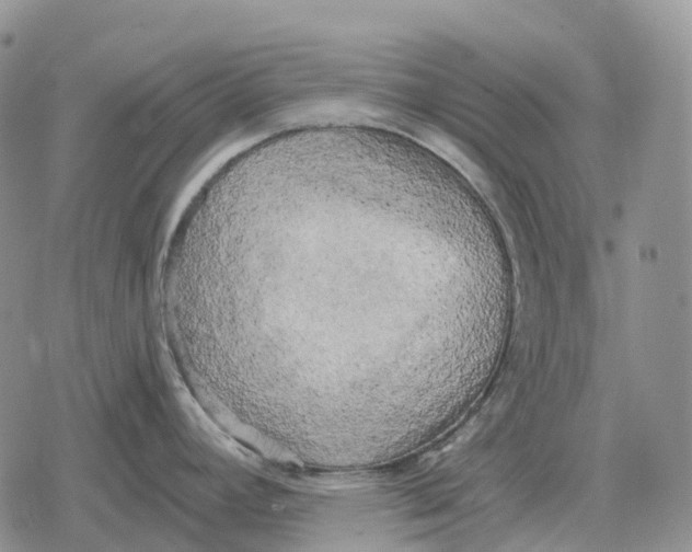 X0000078291392200611251432