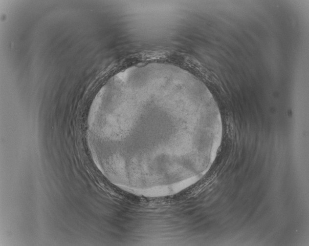 X0000078291393200611251431