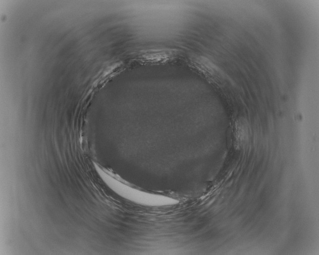 X0000078291394200611251431