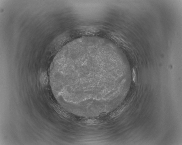 X0000078291395200611251431