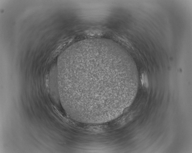 X0000078291396200611251431