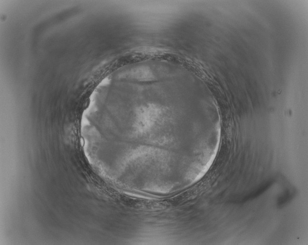 X0000078291397200611251431