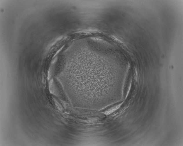 X0000078291398200611251431