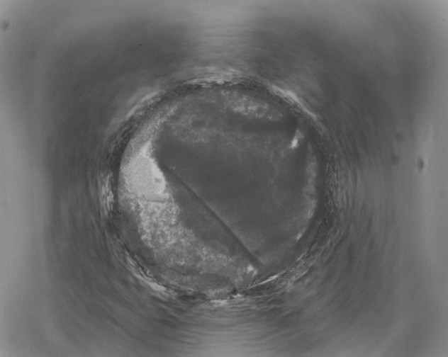 X0000078291399200611251431