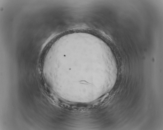 X0000078291400200611251431