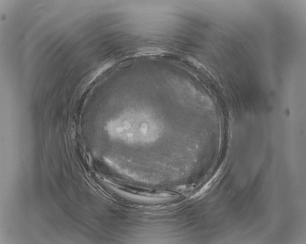 X0000078291401200611251431