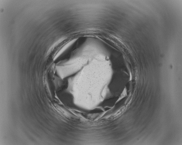 X0000078291402200611251431